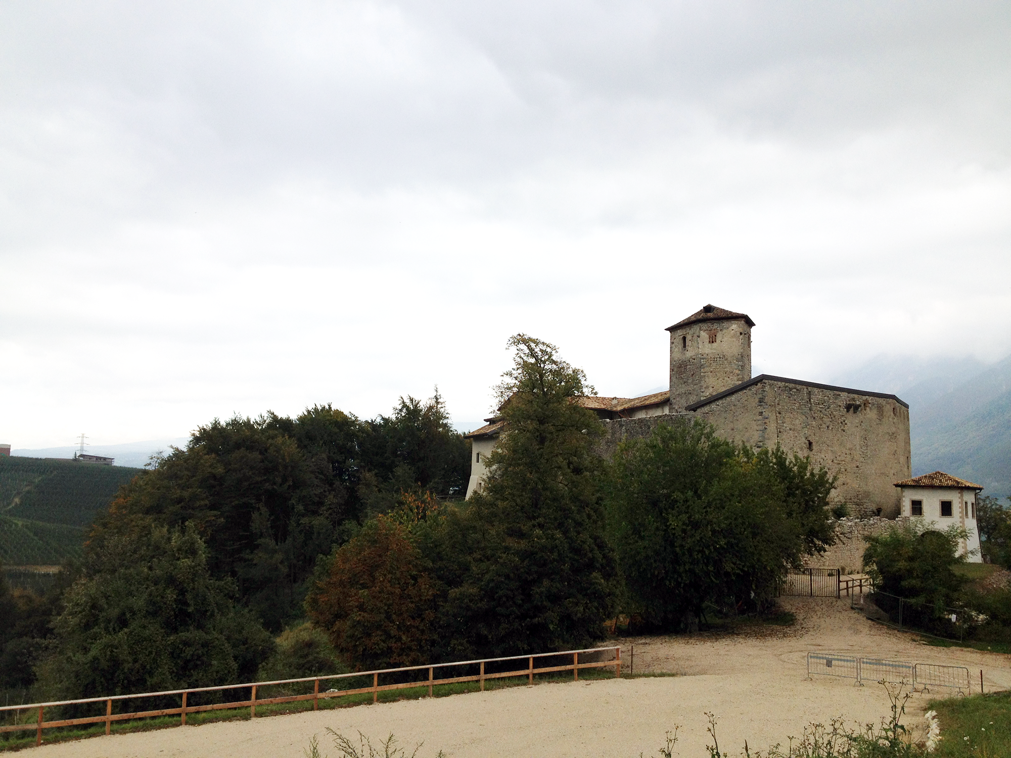 alberi tiglio a castel belasi