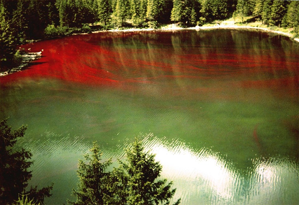 lago ti Tovel rosso - credit ph Gino de Concini