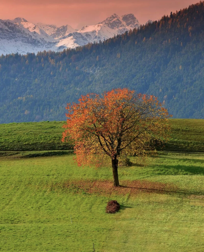 pradiei val di non