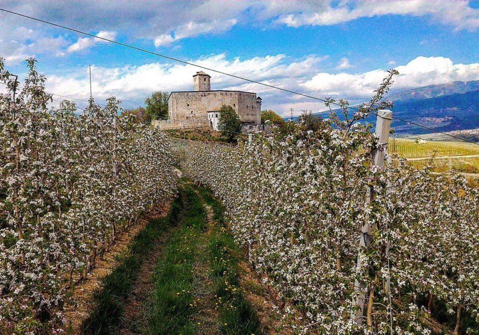 roberto de oliva i love val di non