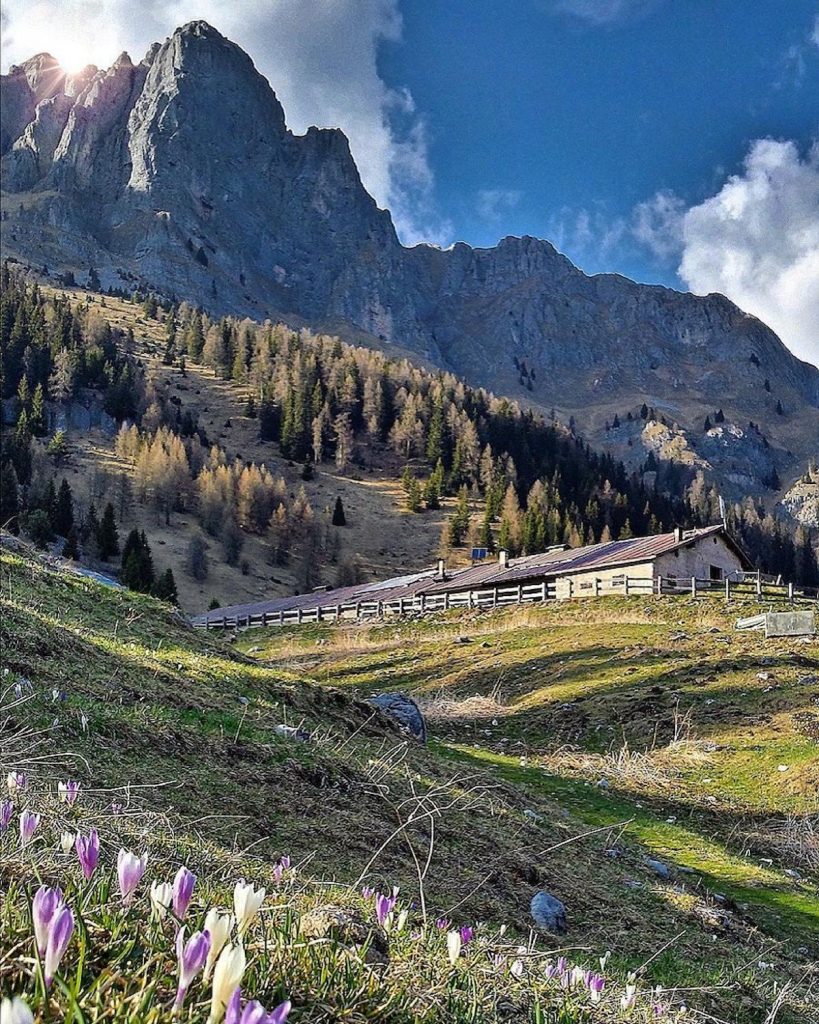 valle di tovel-malga tuena