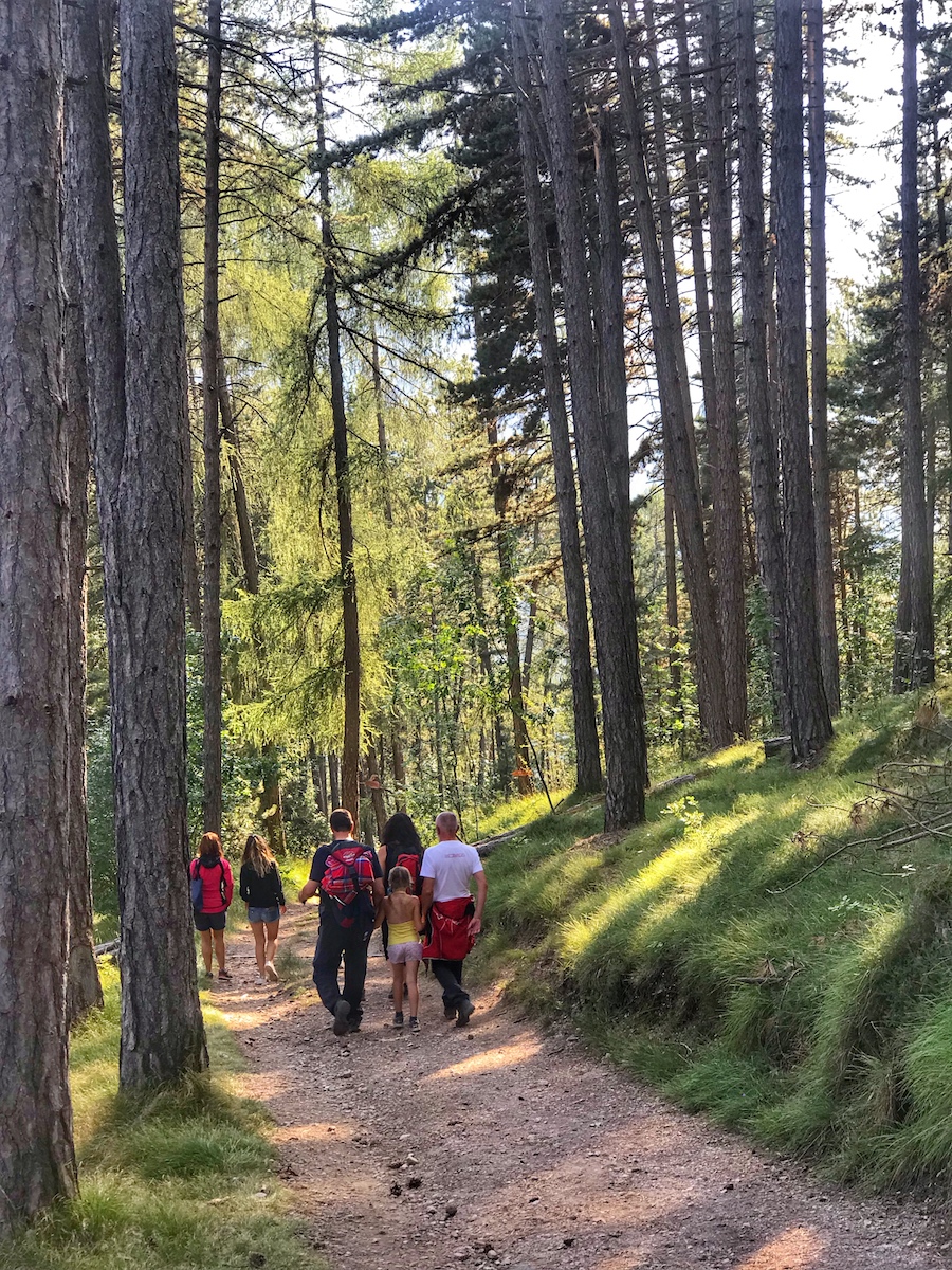 sentiero delle fate-preghena-bosco