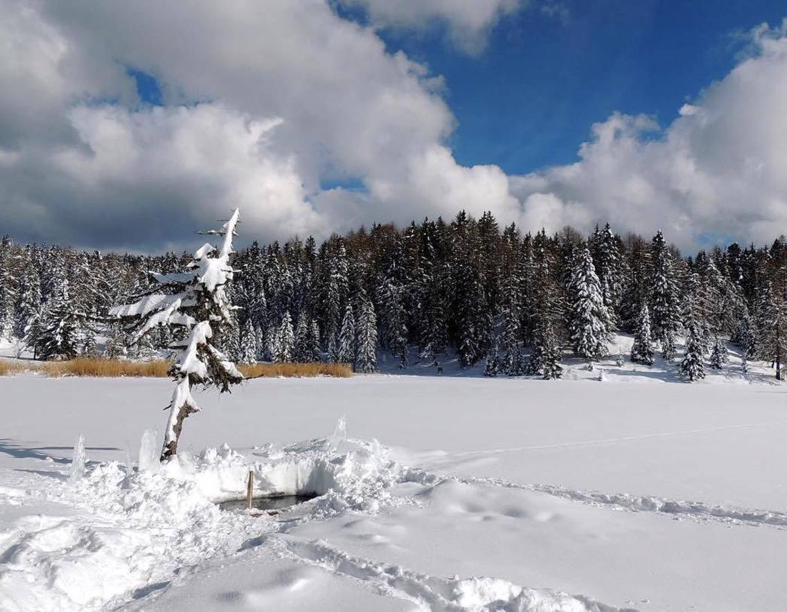 lago-di-tret-inverno-elisa-battocletti