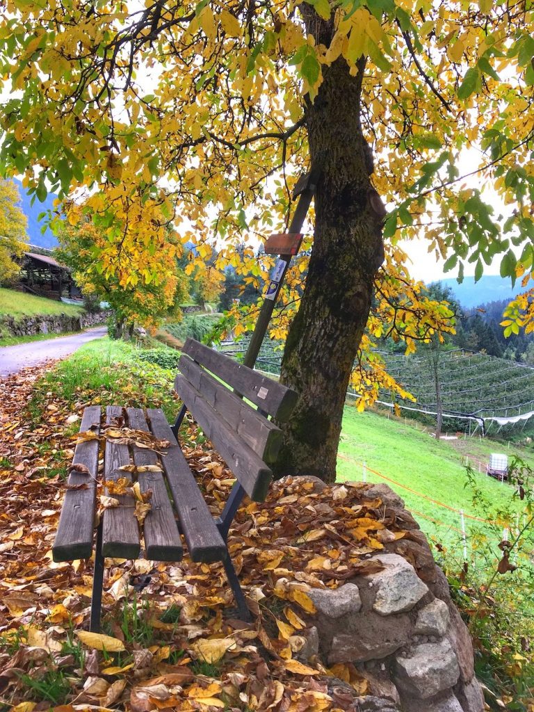 autunno in montagna-rumo