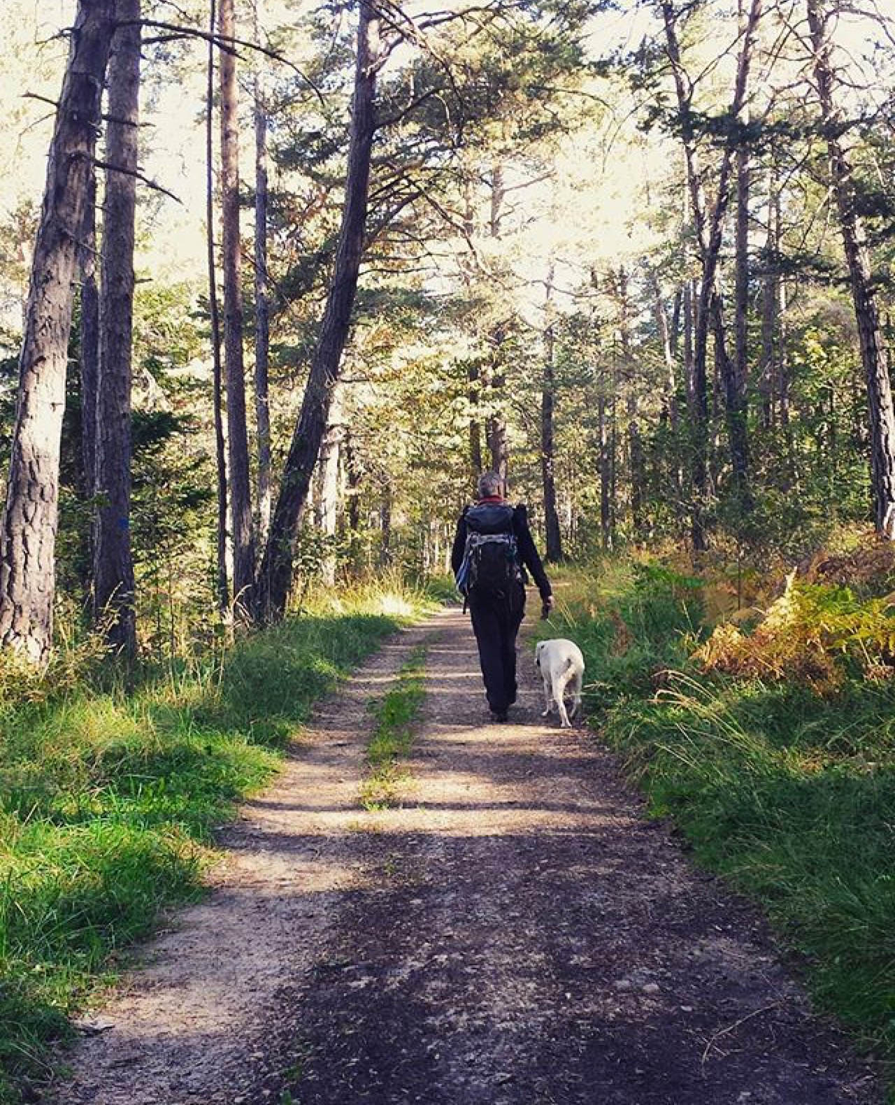 autunno_coredo_lorenameglioli