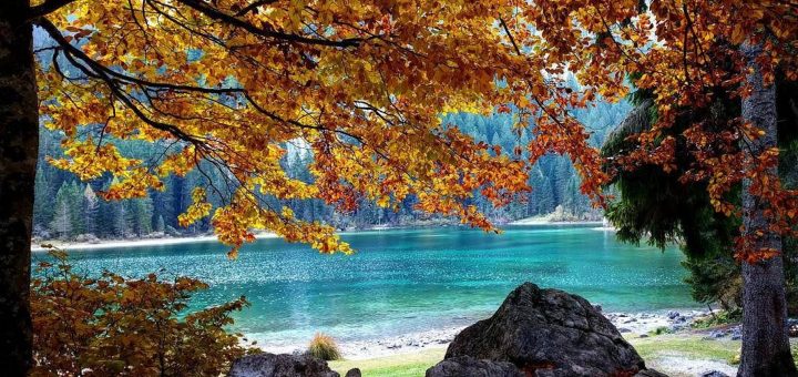 foliage lago di tovel