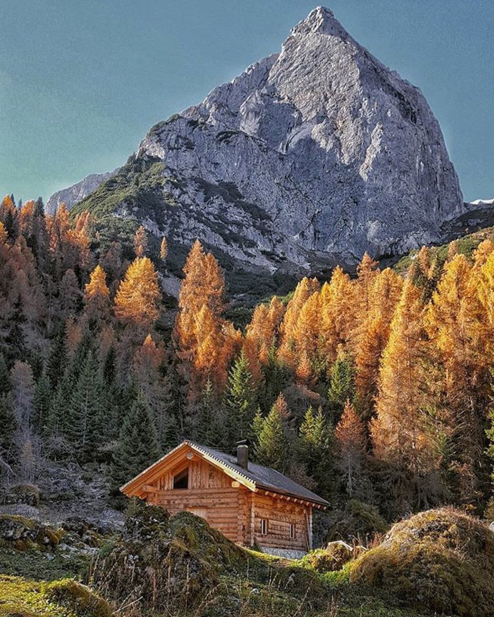 differenza pino abete-larice-val di non-alberto concini