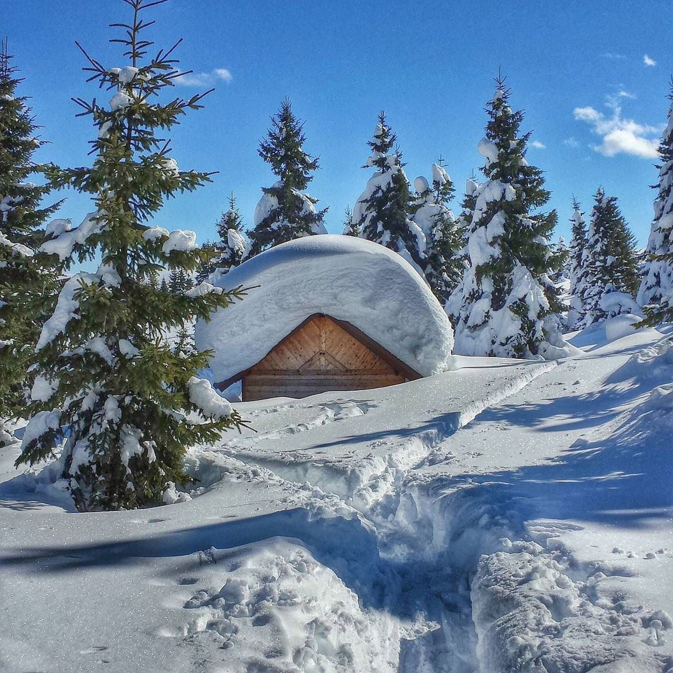 neve-foto-alberto concini