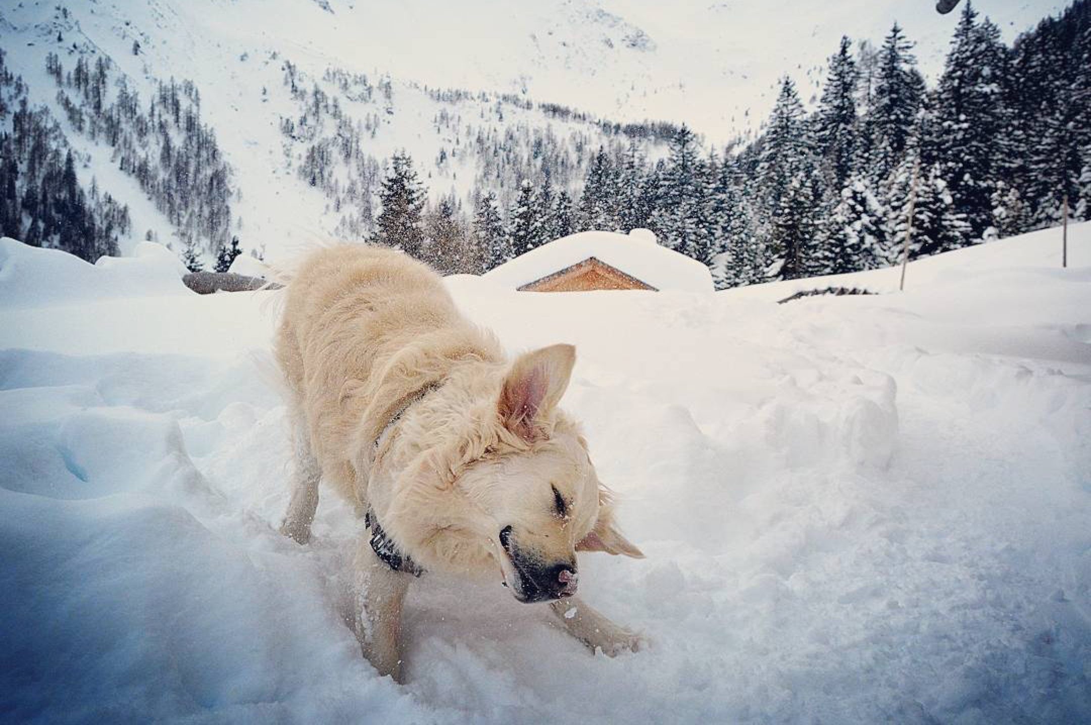 neve-foto-giulia graiff