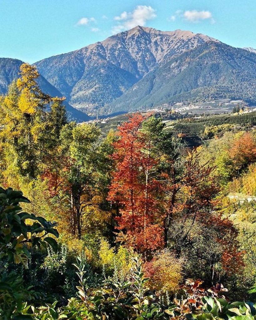 monte pin maddalene