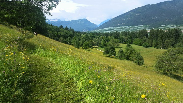 passeggiate facili-alta val di non-lez di dambel-ilovevaldinon-davide pedrotti