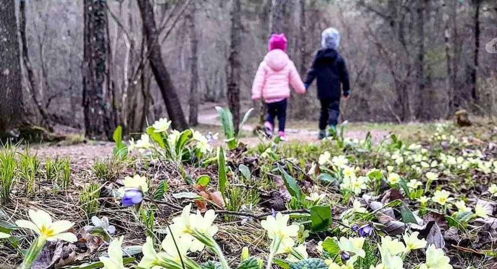 fiori primavera-passeggiata-marco formolo-i love val di non