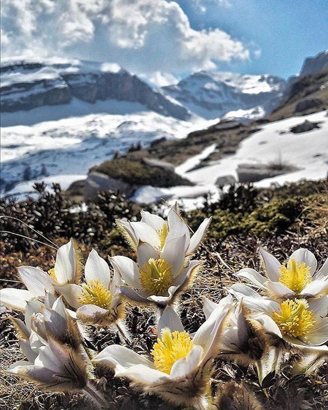 montagna in primavera-brenta-valentima martini