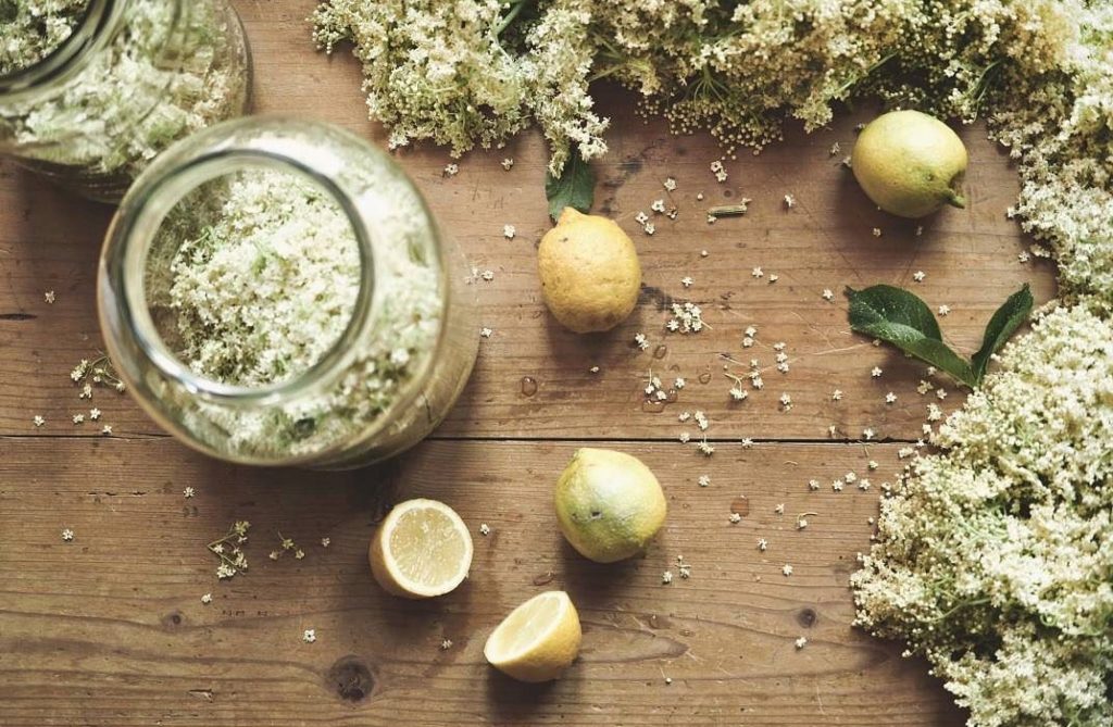 La ricetta dello sciroppo di sambuco. Il sapore fresco dell'estate