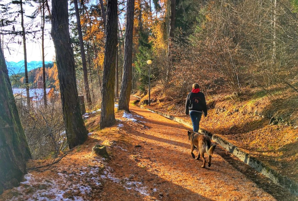 viale dei sogni-coredo-autunno