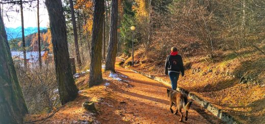 viale dei sogni-coredo-autunno