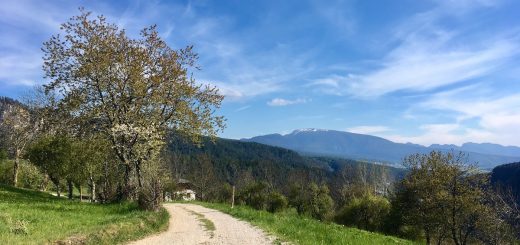 passeggiate in alta val di non-tret-i love val di non