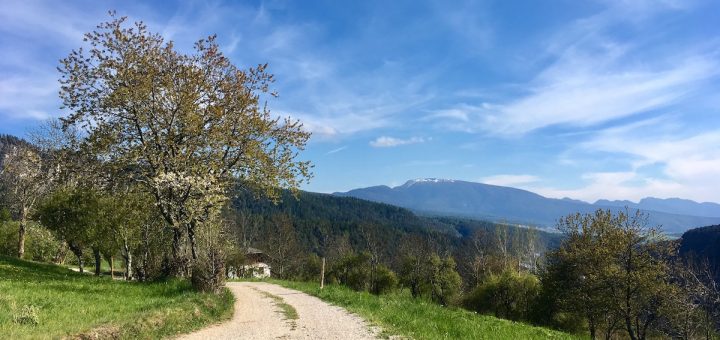 passeggiate in alta val di non-tret-i love val di non