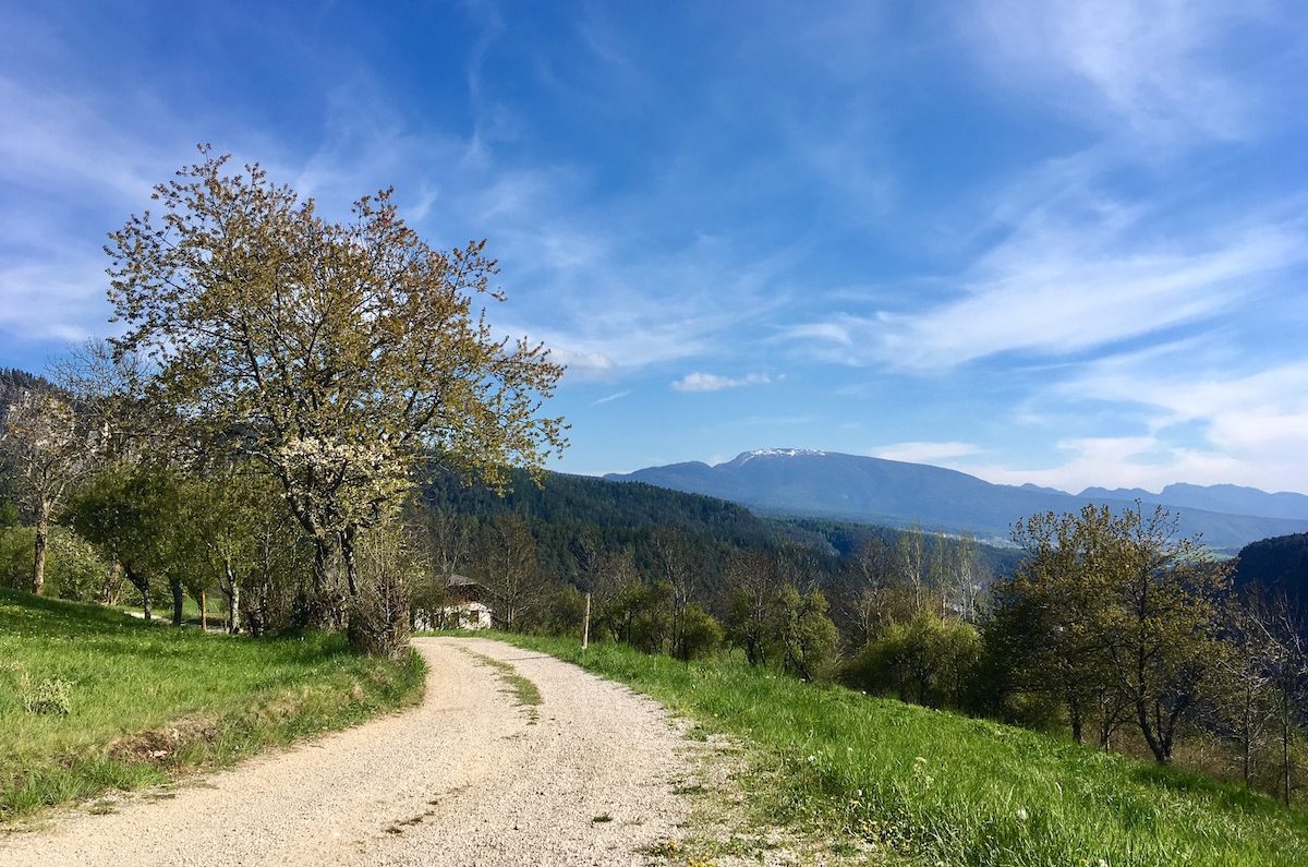 passeggiate in alta val di non-tret-i love val di non