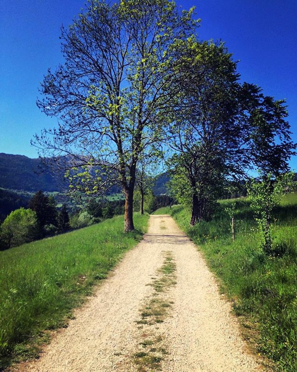 passeggiate in alta val di non-tret-martina abram-i love val di non