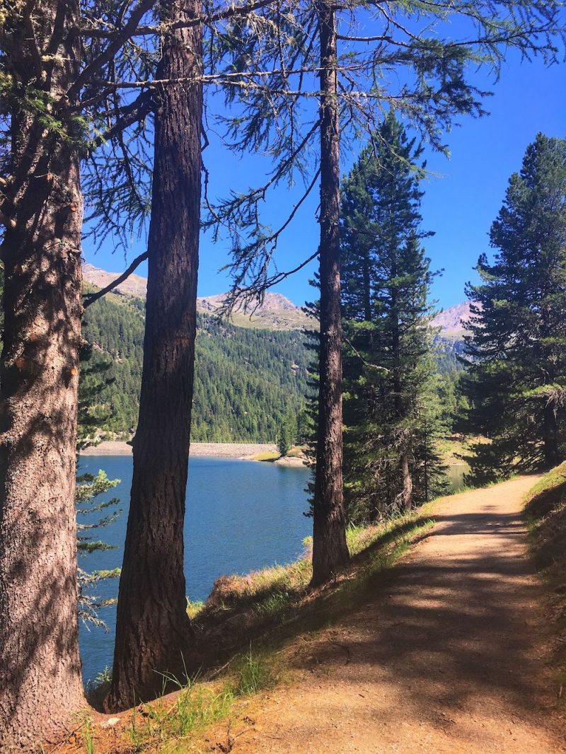 3 cose da fare in Val d'Ultimo. Scopri una valle incantevole 3 cose da fare in Val d'Ultimo. Scopri una valle incantevole