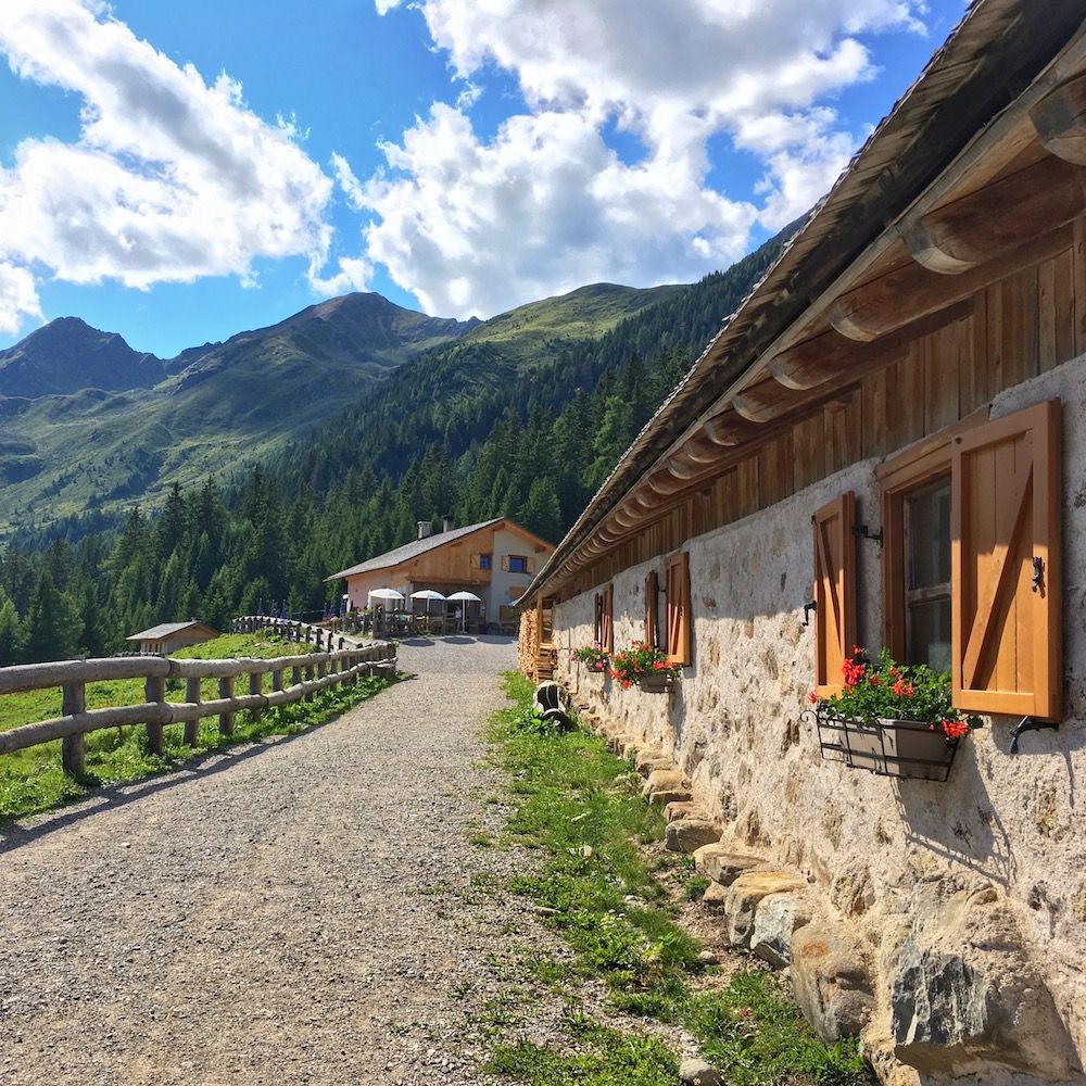 giro delle 3 malghe-malga di revò