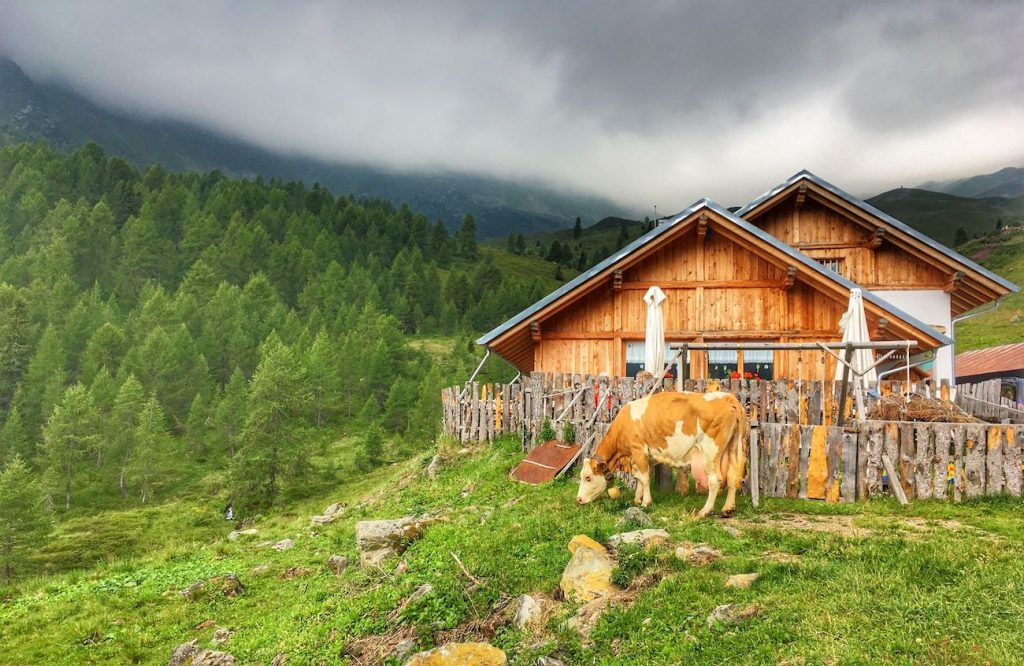 malga bordolona-giro della malghe val di bresimo