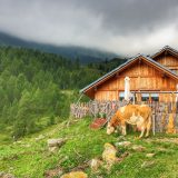 malga bordolona-giro della malghe val di bresimo