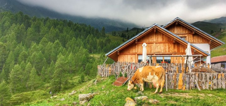 malga bordolona-giro della malghe val di bresimo