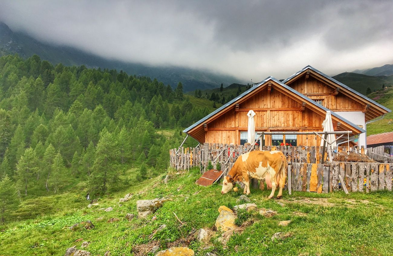 malga bordolona-giro della malghe val di bresimo