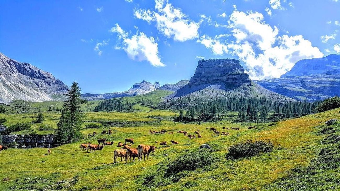 montagna marco formolo