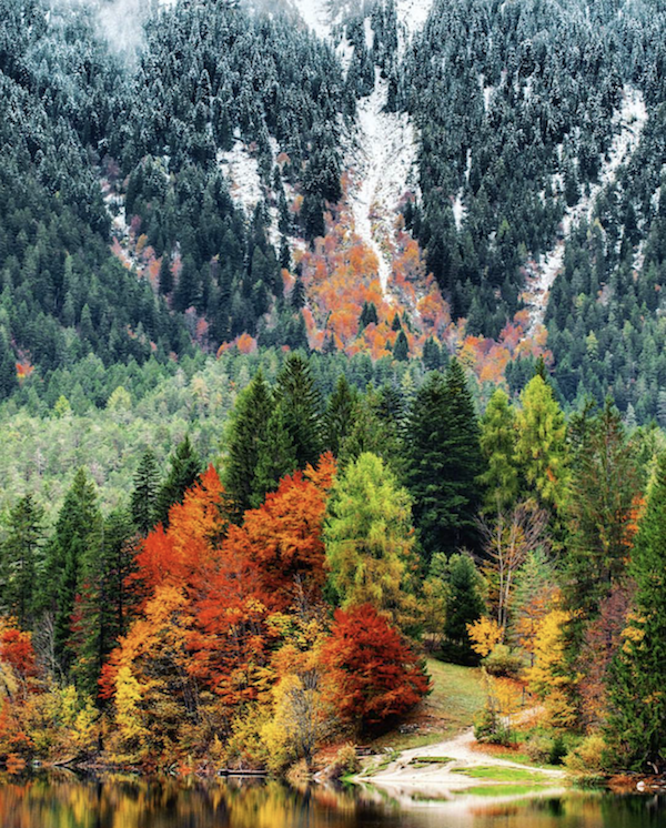 foliage al lago di tovel