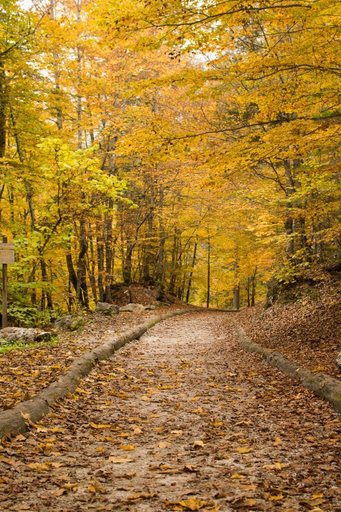 foliage al lago di tovel