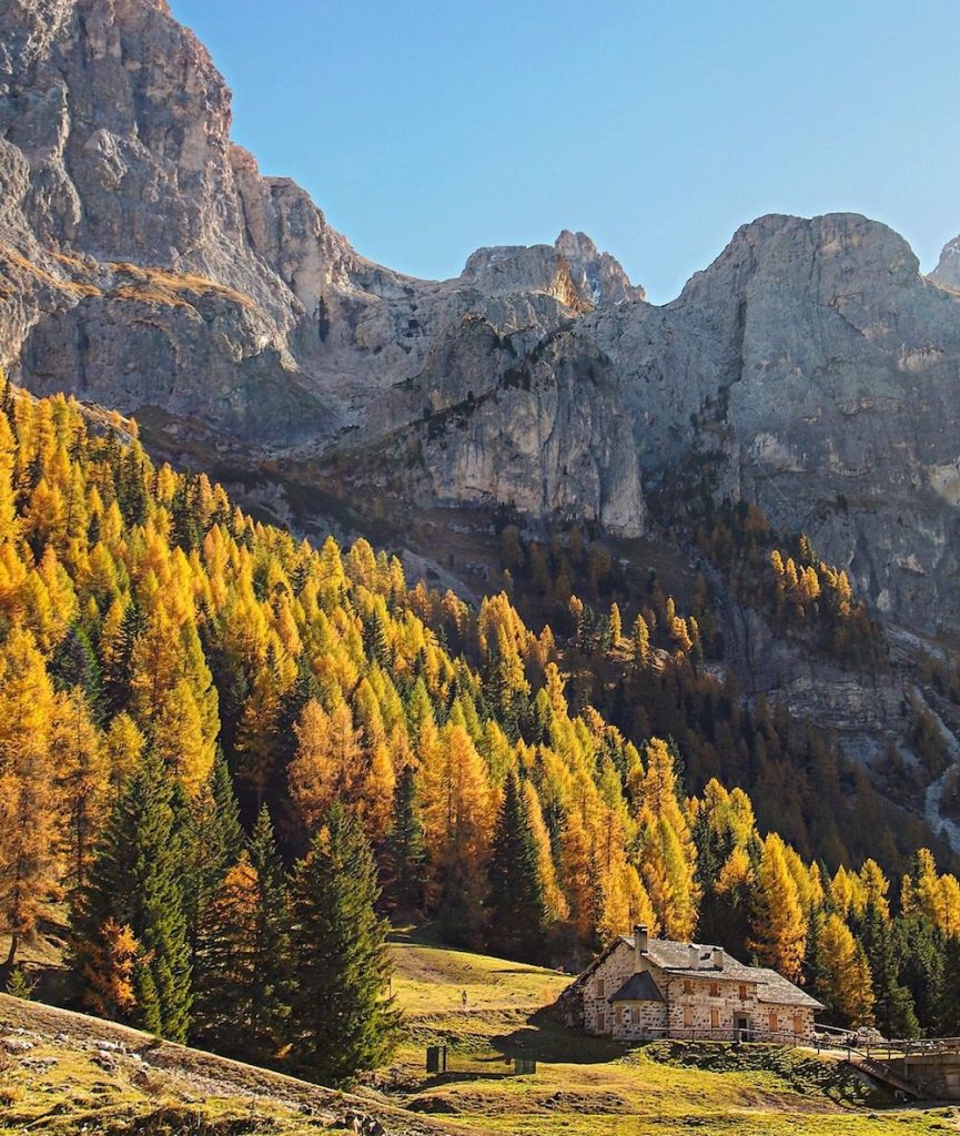 foliage trentino alto adige