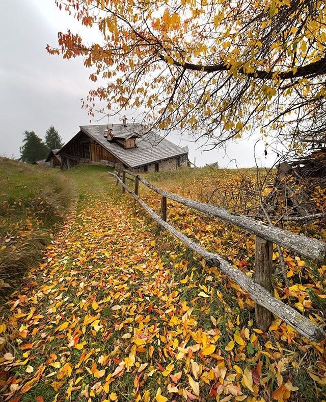 foliage trentino alto adige