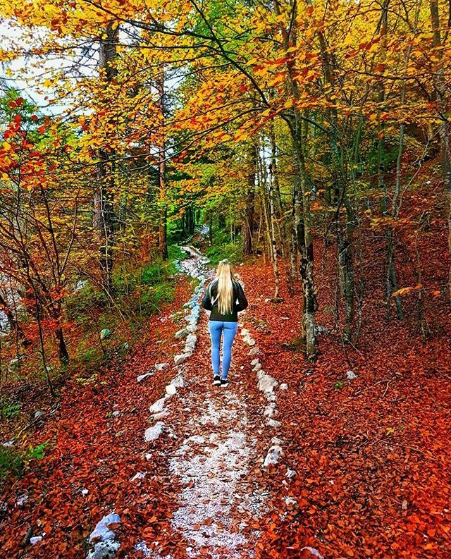 foliage trentino alto adige