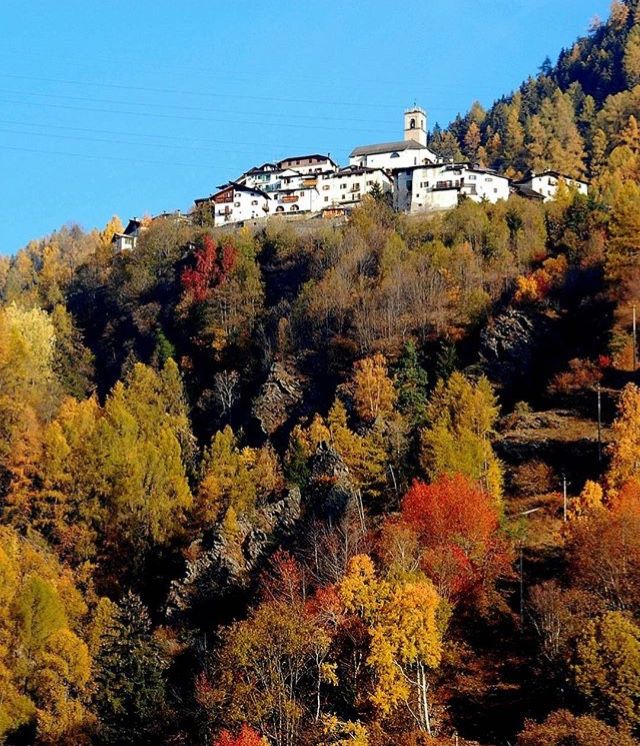 foliage trentino alto adige