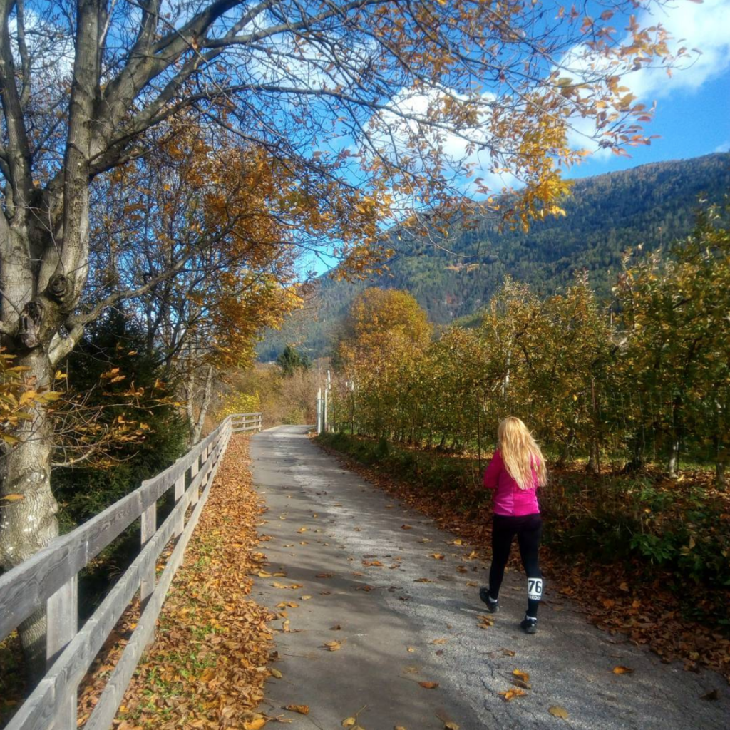 ciclabile val di sole