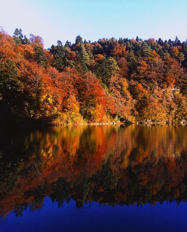 foliage laghi trentino-laghi-di-lamar