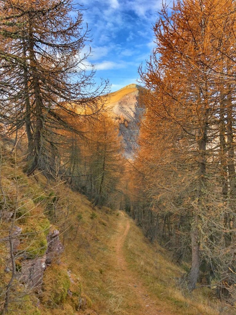 foliage trentino alto adige