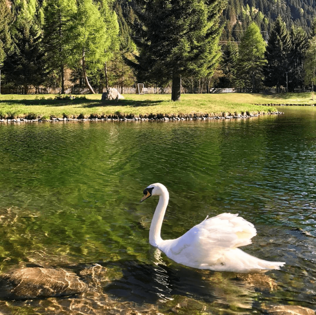 laghetti di vermiglio-val di sole