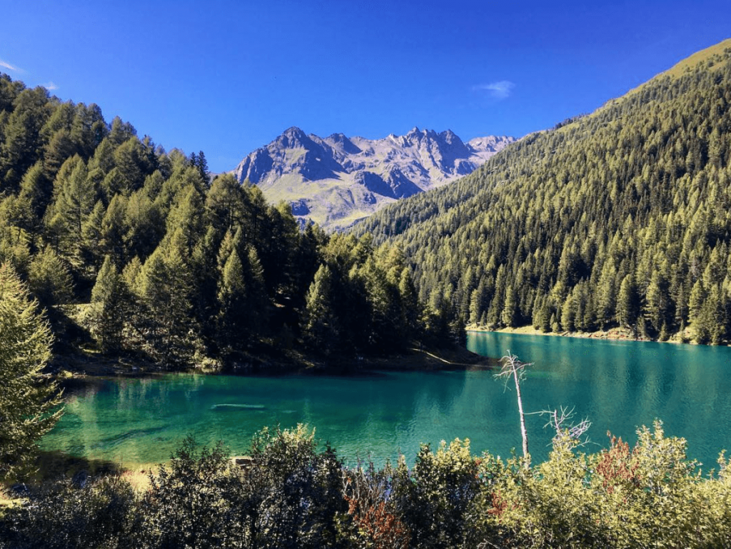 lago di pian palu-val di pejo-val di sole