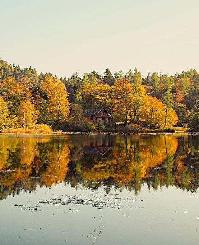 foliage trentino alto adige