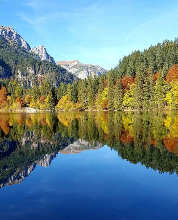 foliage trentino