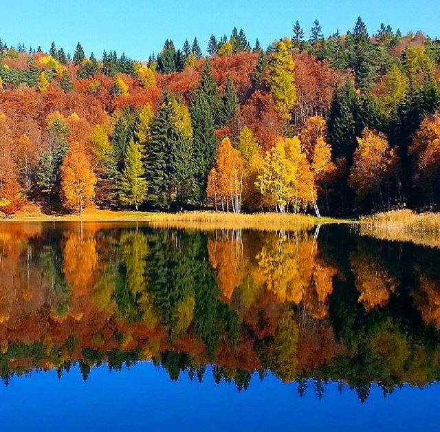 foliage laghi trentino lago santo