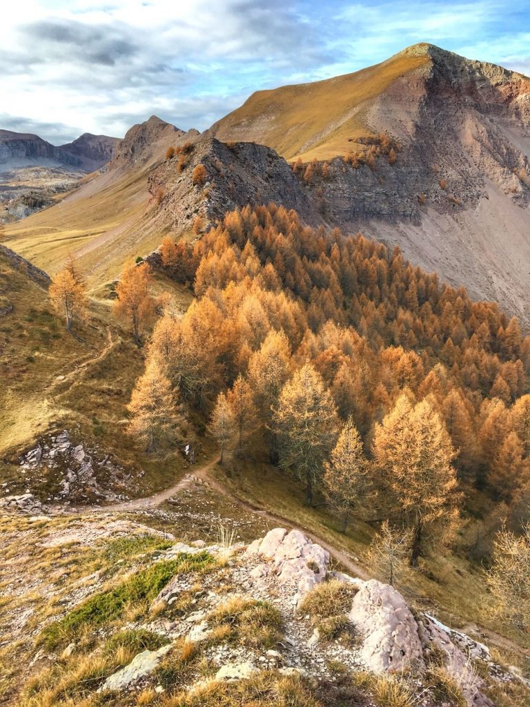 foliage trentino