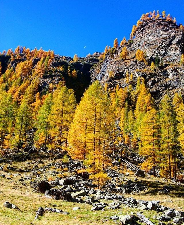 foliage trentino alto adige