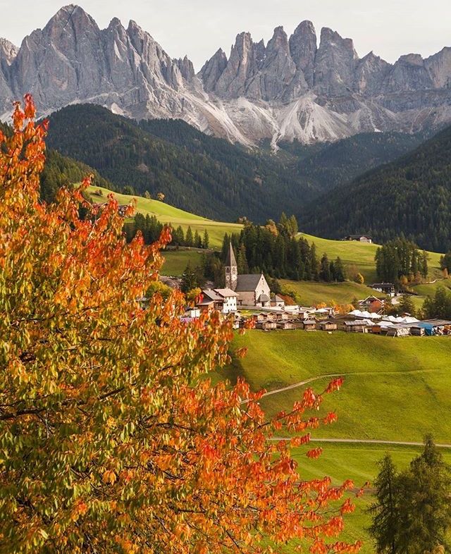 foliage trentino alto adige