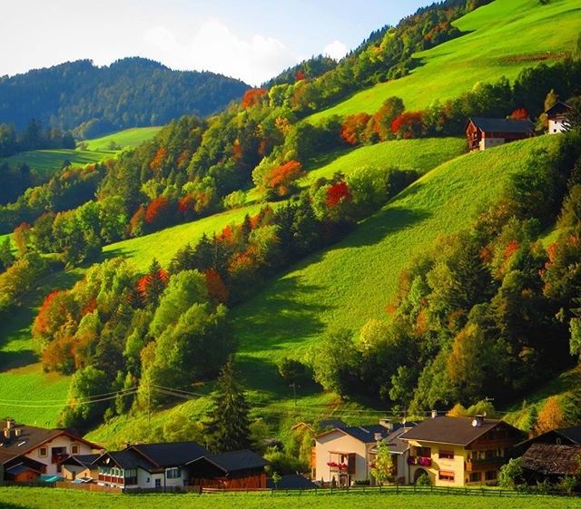 foliage trentino alto adige