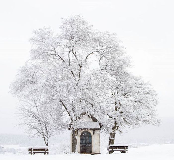 pradiei-inverno in val di non